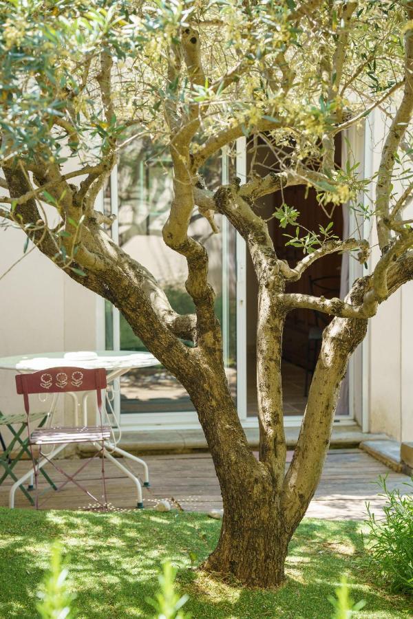 La Terrasse De L'Olivier Beaumes-de-Venise Exterior foto